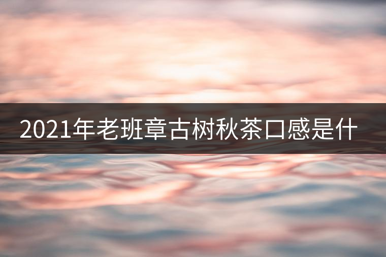 2021年老班章古樹秋茶口感是什么？