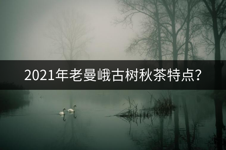 2021年老曼峨古樹秋茶特點(diǎn)？