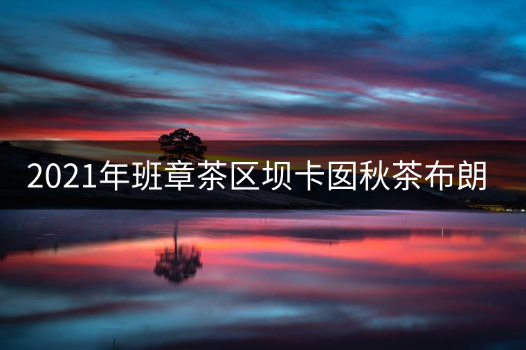 2021年班章茶區(qū)壩卡囡秋茶布朗茶系中的甜茶類！