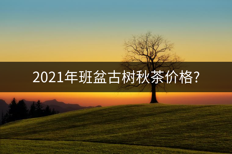 2021年班盆古樹(shù)秋茶價(jià)格? 2021年班盆古樹(shù)秋茶價(jià)格?