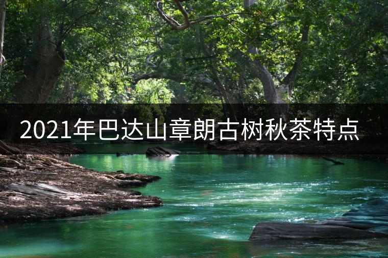 2021年巴達(dá)山章朗古樹(shù)秋茶特點(diǎn)？