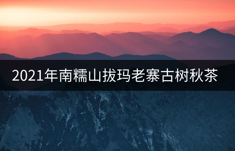 2021年南糯山拔瑪老寨古樹秋茶價格？