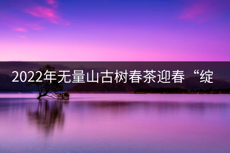 2022年無(wú)量山古樹(shù)春茶迎春“綻放”！