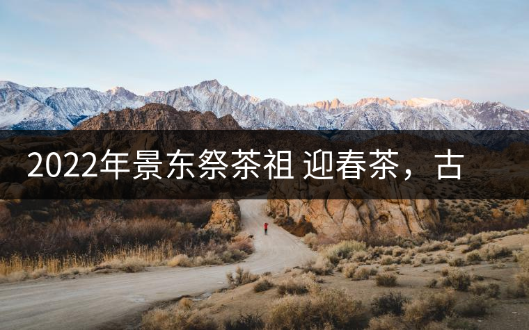 2022年景東祭茶祖 迎春茶，古樹春茶多少錢一公斤？