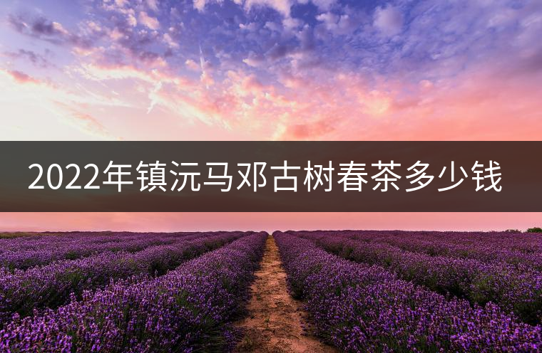 2022年鎮(zhèn)沅馬鄧古樹春茶多少錢一公斤？