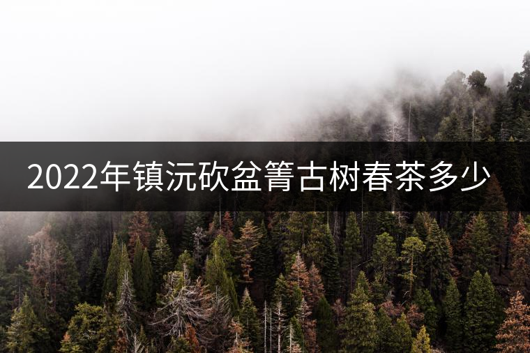 2022年鎮(zhèn)沅砍盆箐古樹(shù)春茶多少錢(qián)一公斤？