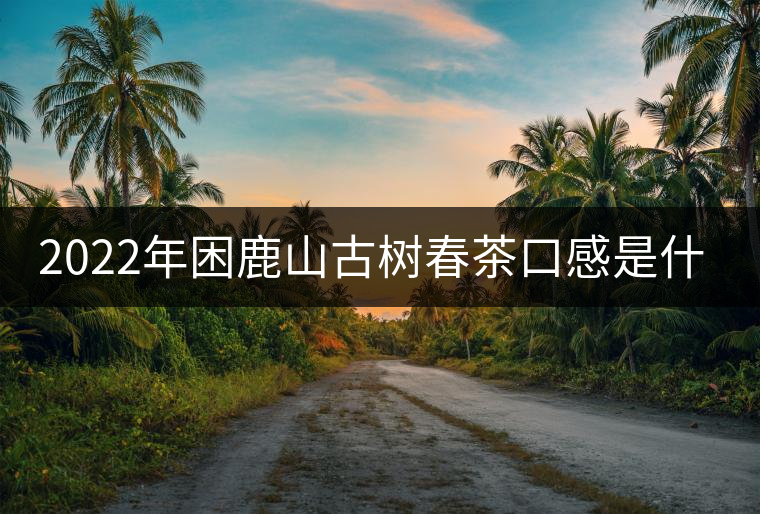 2022年困鹿山古樹春茶口感是什么？