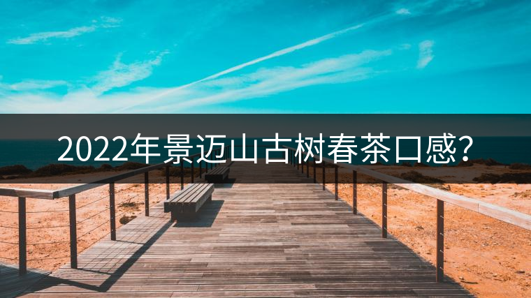2022年景邁山古樹(shù)春茶口感？