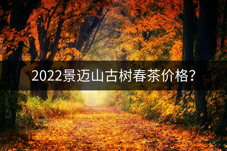 2022景邁山古樹春茶價(jià)格？