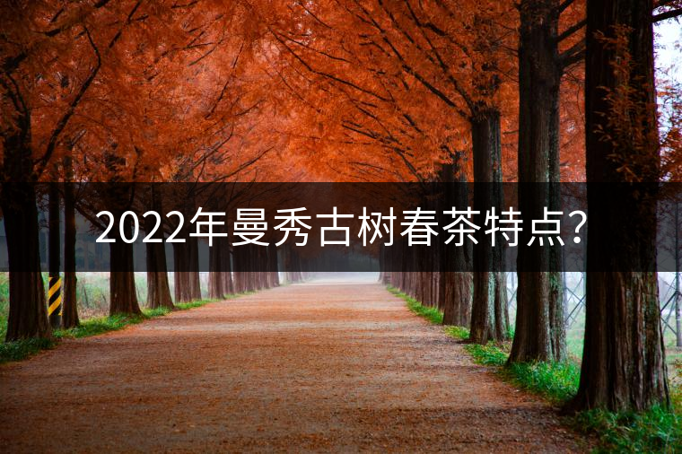 2022年曼秀古樹春茶特點(diǎn)？