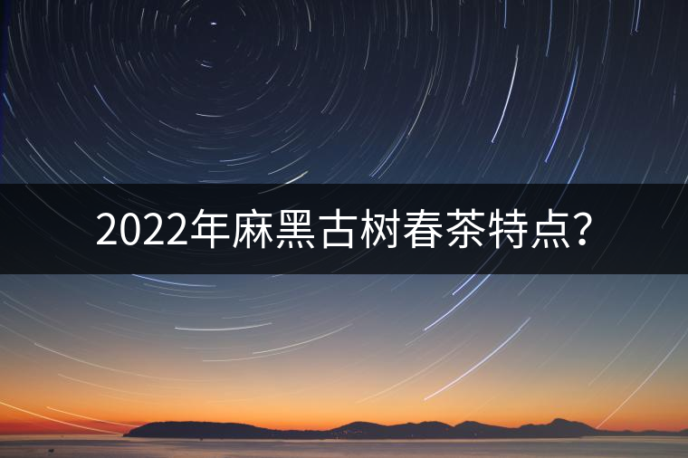 2022年麻黑古樹(shù)春茶特點(diǎn)？