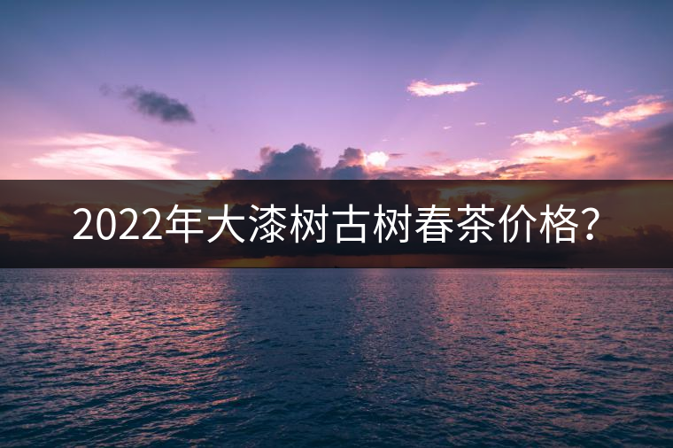 2022年大漆樹(shù)古樹(shù)春茶價(jià)格？