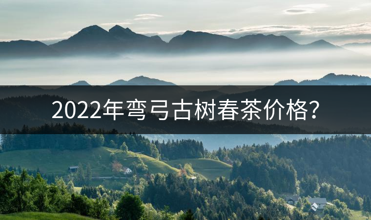 2022年彎弓古樹春茶價格？