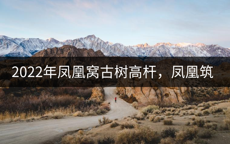 2022年鳳凰窩古樹高桿，鳳凰筑巢的地方