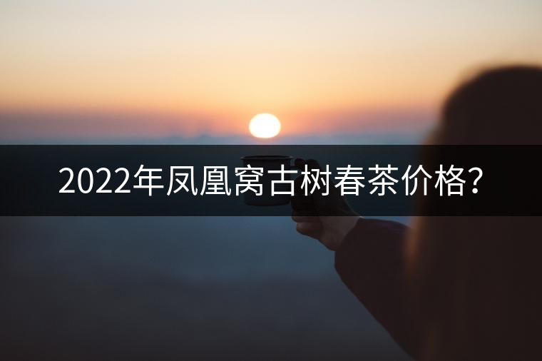 2022年鳳凰窩古樹春茶價(jià)格？