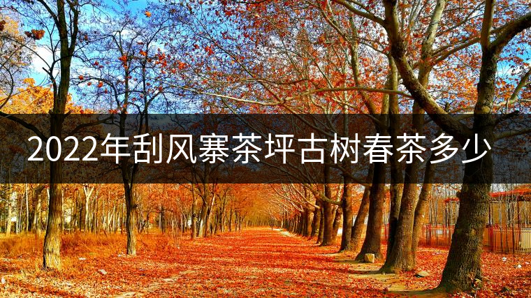 2022年刮風寨茶坪古樹春茶多少錢一公斤？