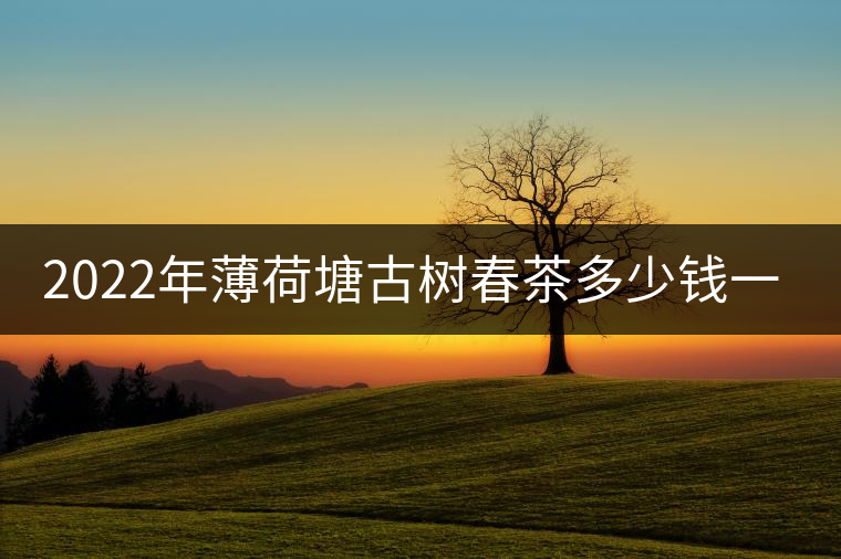 2022年薄荷塘古樹(shù)春茶多少錢(qián)一公斤？