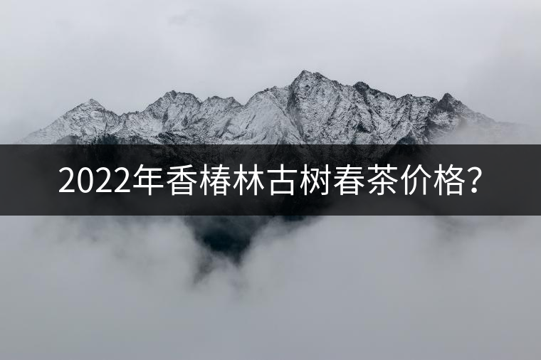 2022年香椿林古樹春茶價格？
