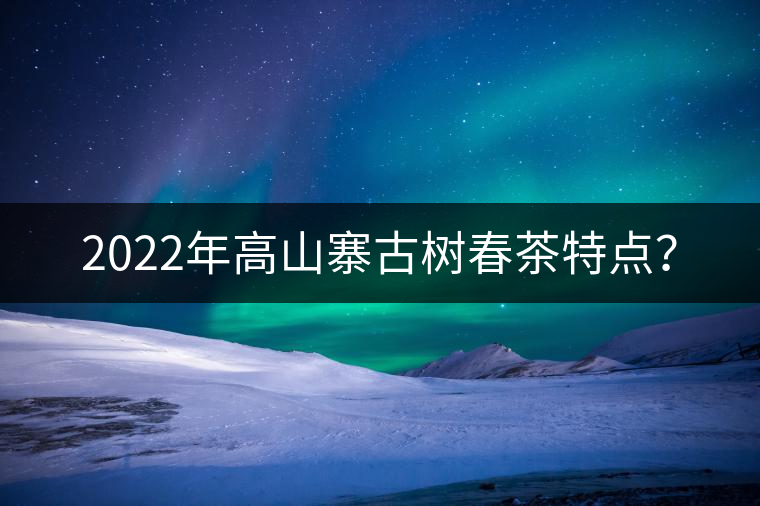 2022年高山寨古樹春茶特點(diǎn)？