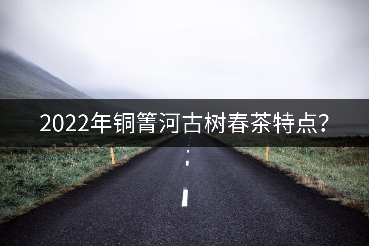 2022年銅箐河古樹春茶特點？
