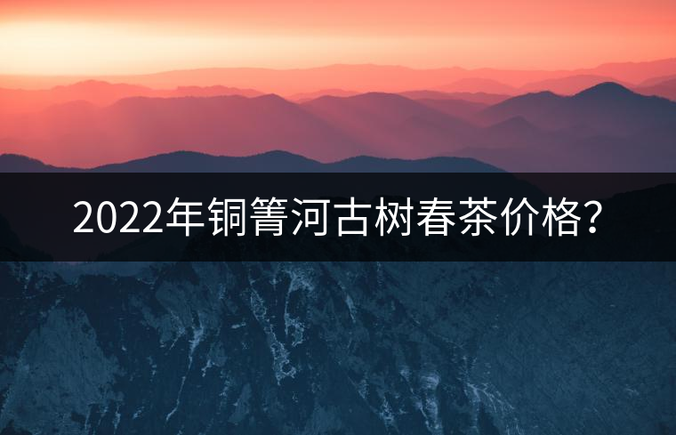 2022年銅箐河古樹春茶價(jià)格？