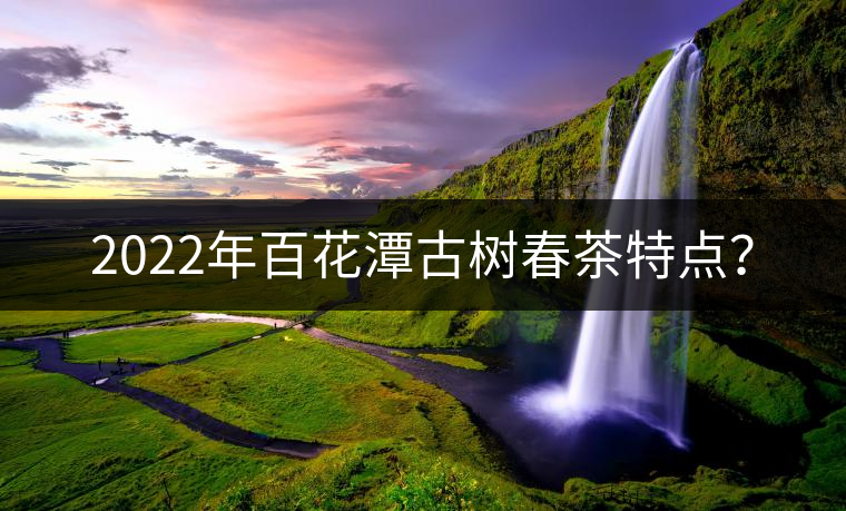 2022年百花潭古樹春茶特點？