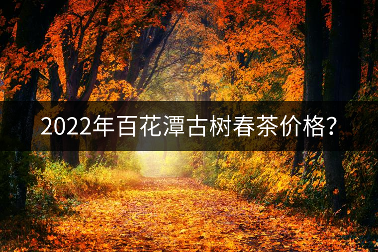 2022年百花潭古樹春茶價格？