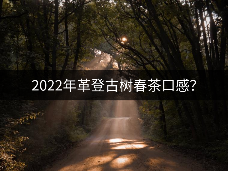 2022年革登古樹春茶口感？
