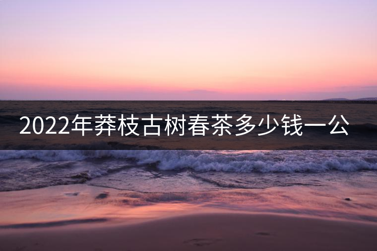 2022年莽枝古樹春茶多少錢一公斤？