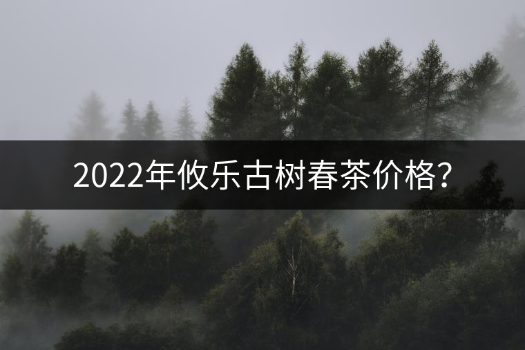 2022年攸樂(lè)古樹春茶價(jià)格？