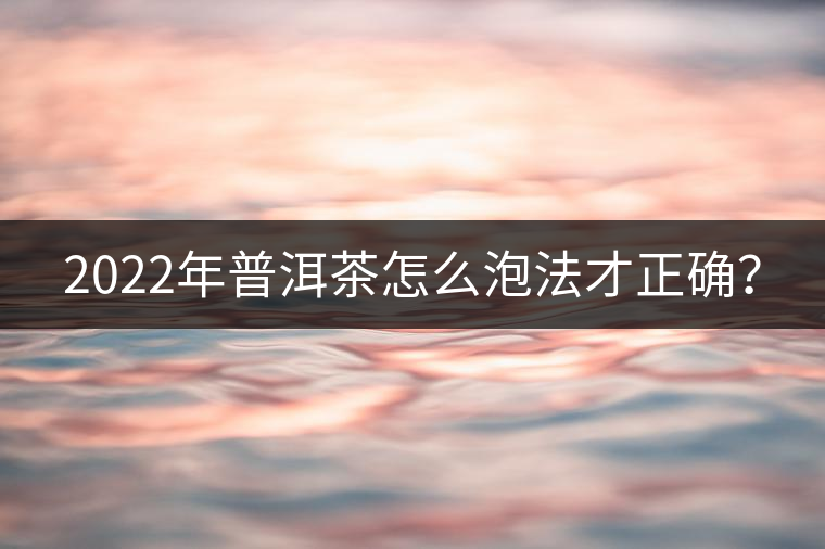 2022年普洱茶怎么泡法才正確？