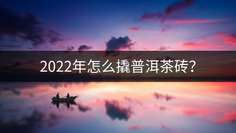 2022年怎么撬普洱茶磚？