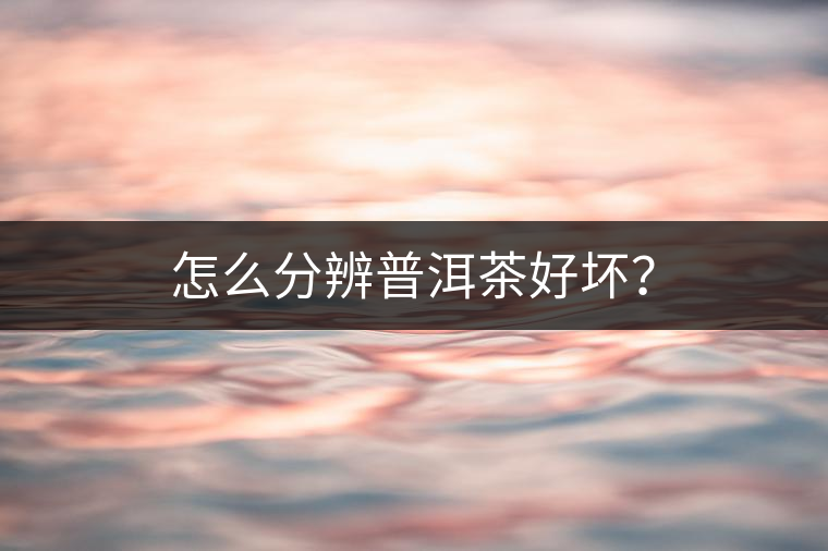 怎么分辨普洱茶好壞? 怎么分辨普洱茶好壞?