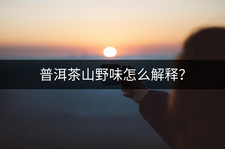 普洱茶山野味怎么解釋？