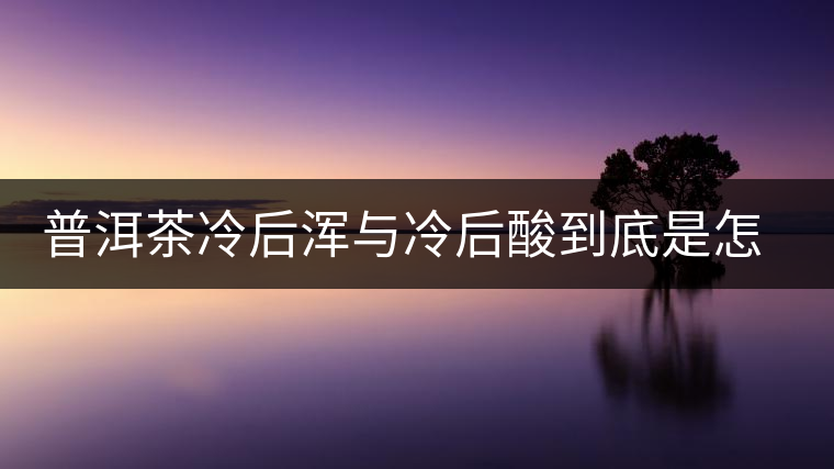 普洱茶冷后渾與冷后酸到底是怎么回事？