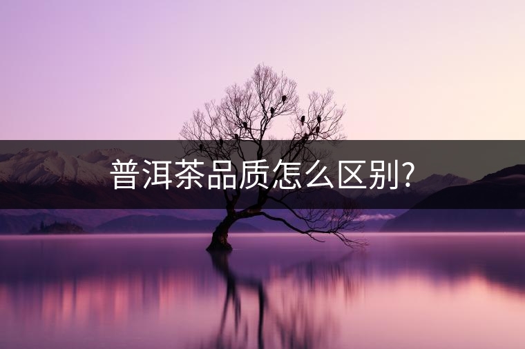 普洱茶品質怎么區(qū)別?