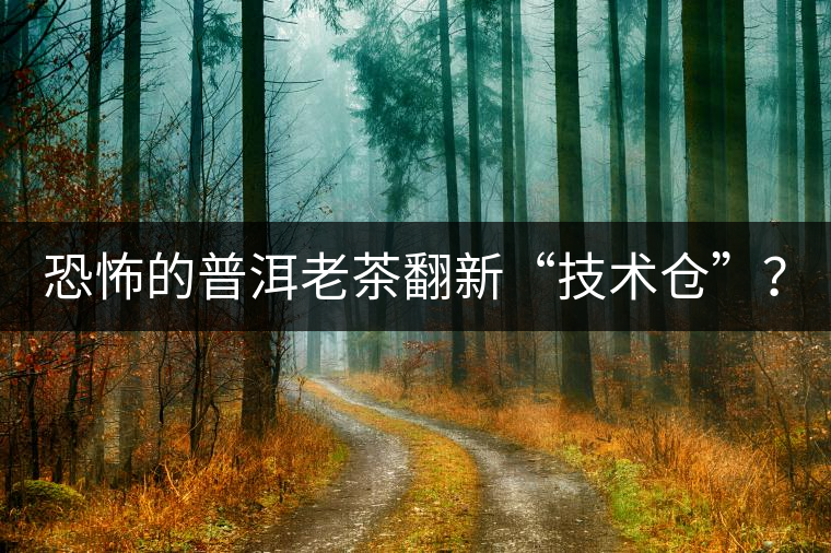 恐怖的普洱老茶翻新“技術(shù)倉”？