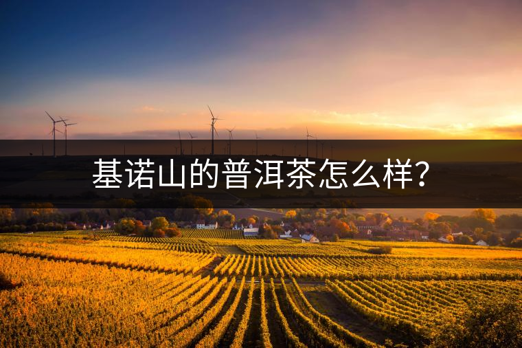 基諾山的普洱茶怎么樣？