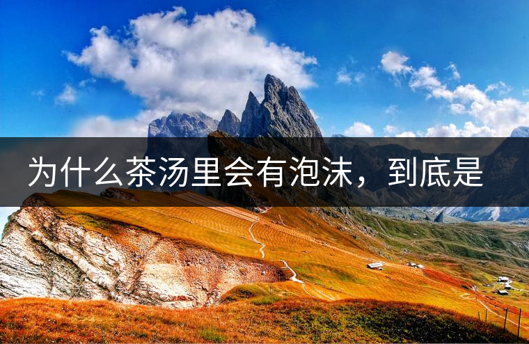 為什么茶湯里會(huì)有泡沫，到底是怎么回事？