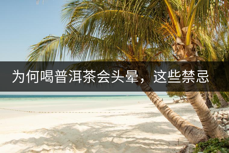 為何喝普洱茶會頭暈，這些禁忌你了解多少？