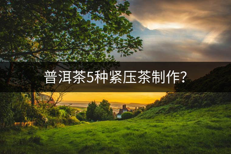 普洱茶5種緊壓茶制作？
