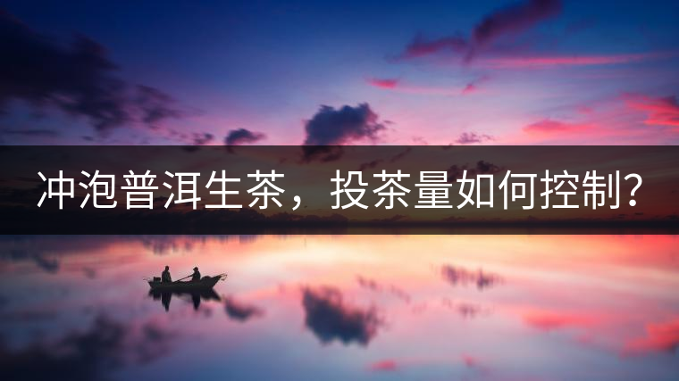 沖泡普洱生茶，投茶量如何控制？