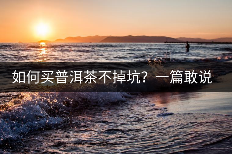 如何買(mǎi)普洱茶不掉坑？一篇敢說(shuō)真話(huà)的良心之作。