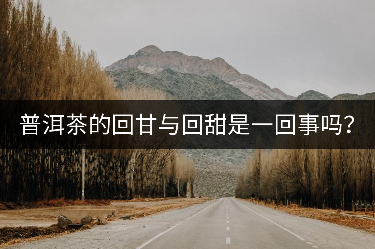 普洱茶的回甘與回甜是一回事嗎？？