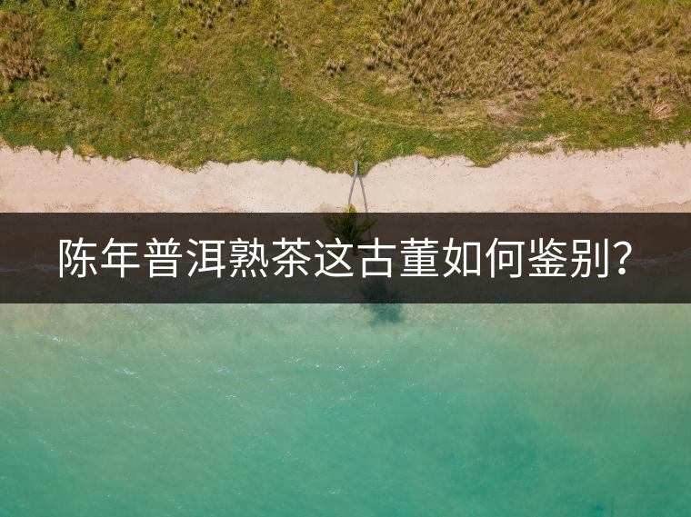 陳年普洱熟茶這古董如何鑒別？