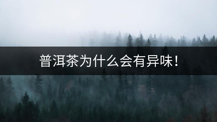 普洱茶為什么會(huì)有異味! 普洱茶為什么會(huì)有異味!