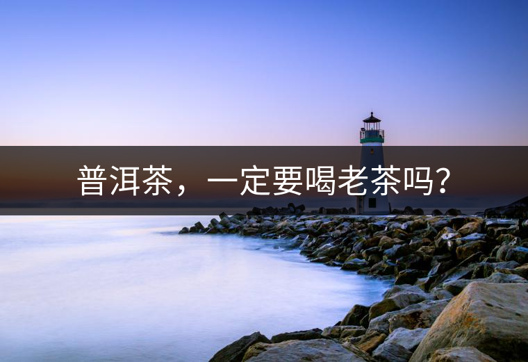 普洱茶，一定要喝老茶嗎？
