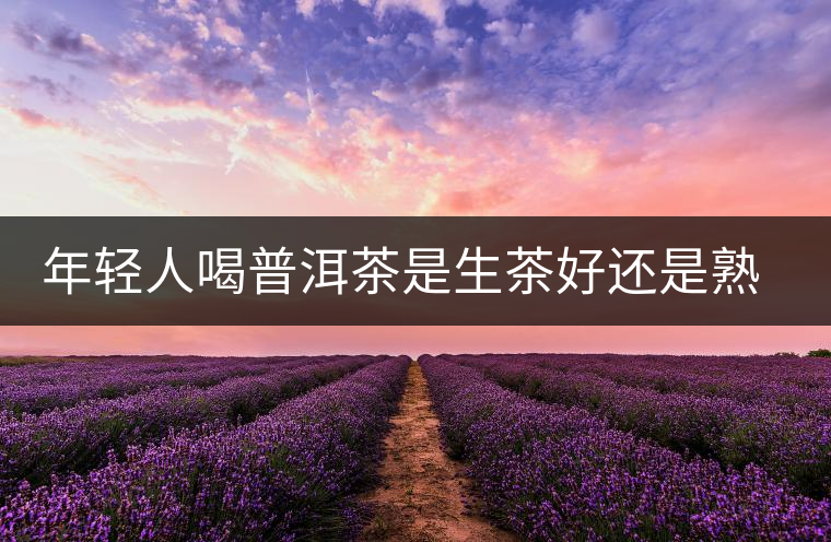 年輕人喝普洱茶是生茶好還是熟茶好？該怎么選擇？