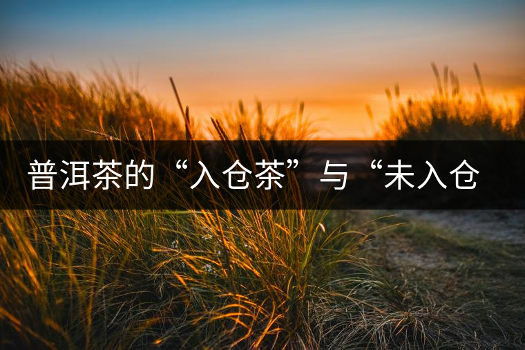普洱茶的“入倉茶”與“未入倉茶”如何區(qū)分，你造嗎？