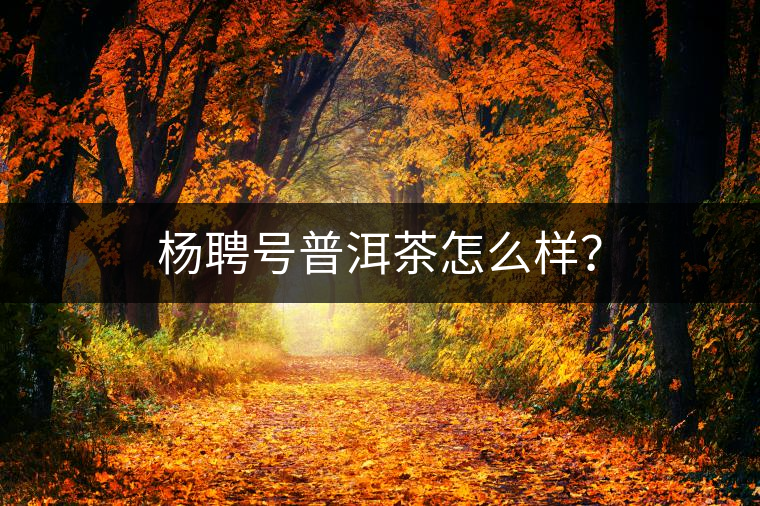 楊聘號(hào)普洱茶怎么樣？